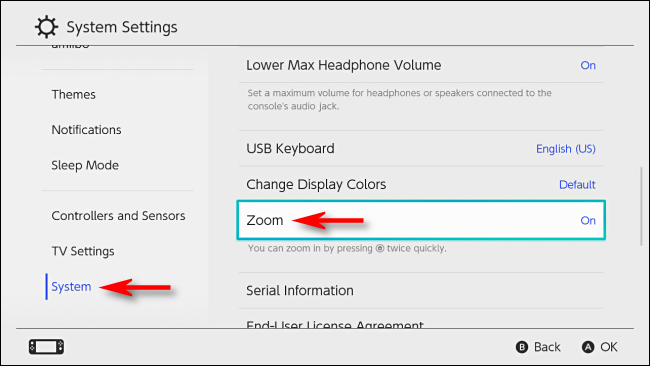 Turn on Zoom in System Settings on Nintendo Switch
