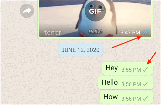 Single tick on messages on WhatsApp
