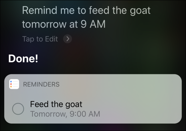 Siri confirming a reminder to "feed the goat tomorrow at 9 AM." 