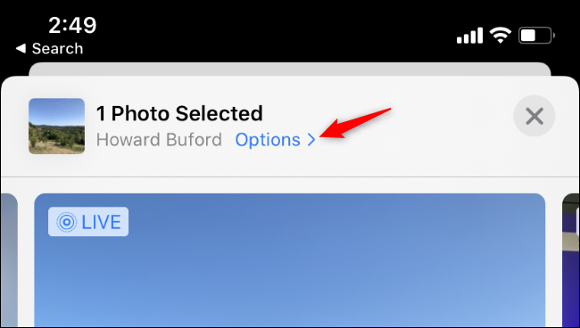 Accessing location options while sharing a photo in the iPhone's Photos app.