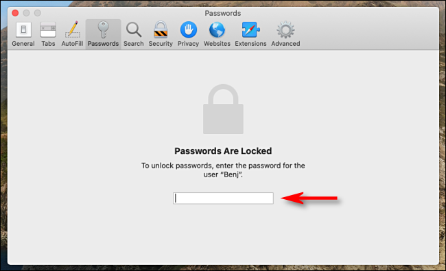 Enter your system password to unlock Safari's stored passwords in Preferences