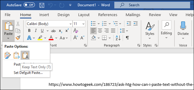 The "Keep Text Only" option for pasting text in Microsoft Word.