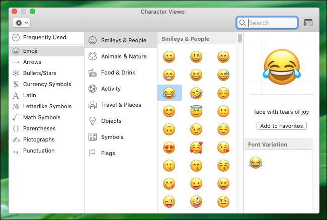 Examining the Character Viewer window on Mac.