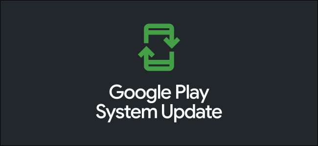 The Google Play "System Update" logo.
