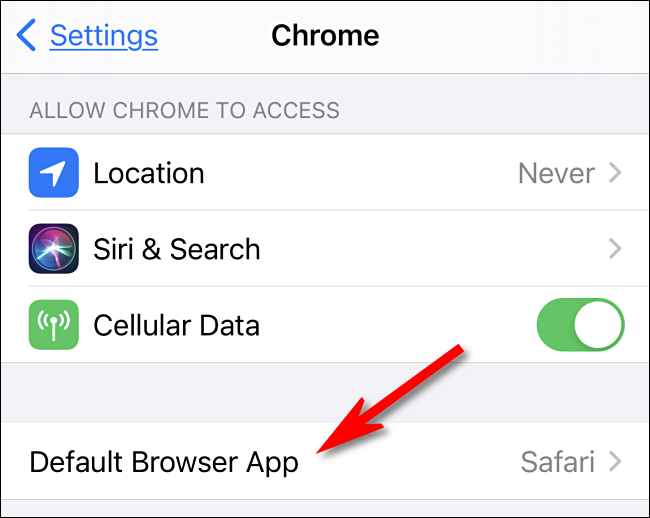 Select the "Default Browser App" option in iPhone Settings