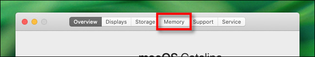 In the "About This Mac" window, click the "Memory" tab.