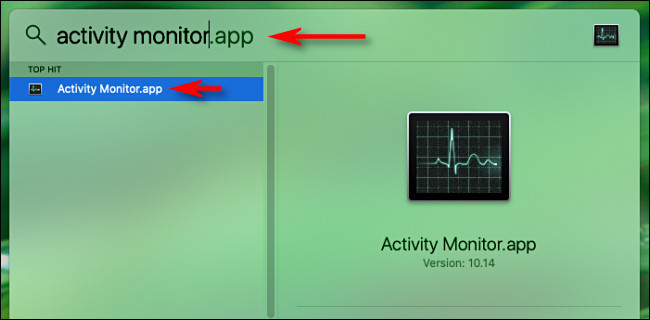 Type "Activity Monitor," and then press Enter. 