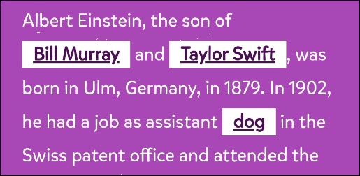 An excerpt from "Mad Libs" on Google Assistant.