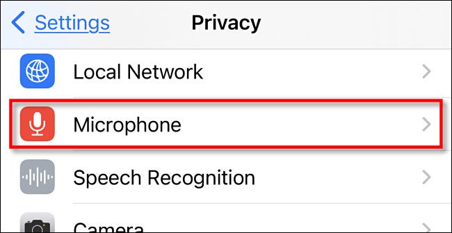 In Privacy settings, tap "Microphone."