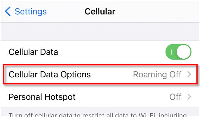 In "Cellular" on iPhone, tap "Cellular Data Options."